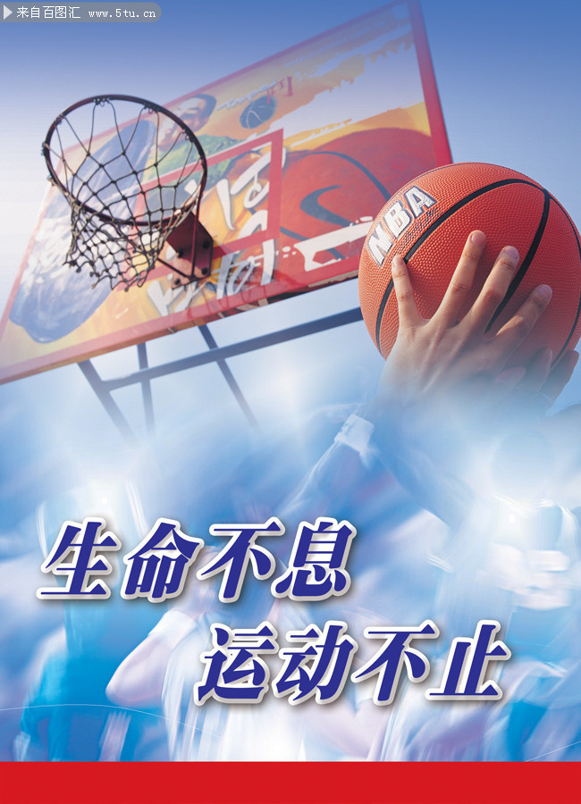 张本锋专题调研篮球运动发展情况 体系化建设 专业化培育